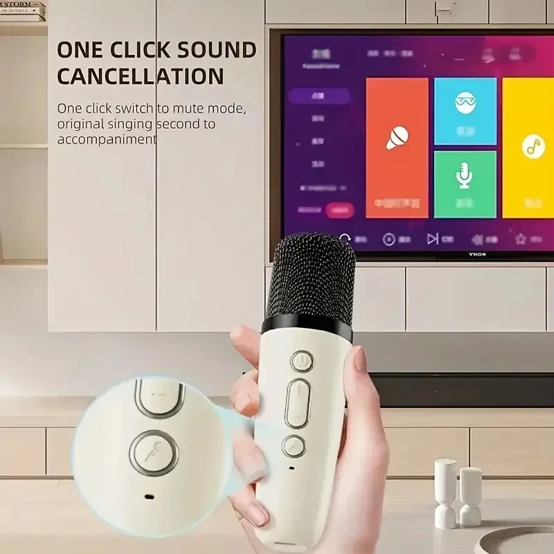 K12 Portable Karaoke Machine Bluetooth 5.3 PA Speaker System